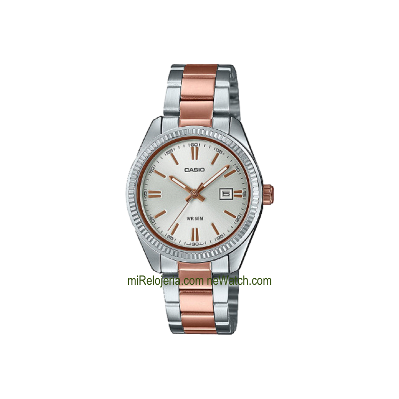 Casio Collection Analógico