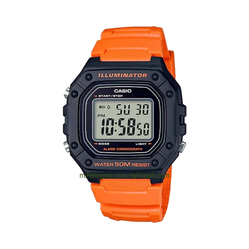 Básico de Caballero 50m