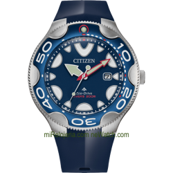 Eco-Drive Diver's 200 mt. Aqualand Orca