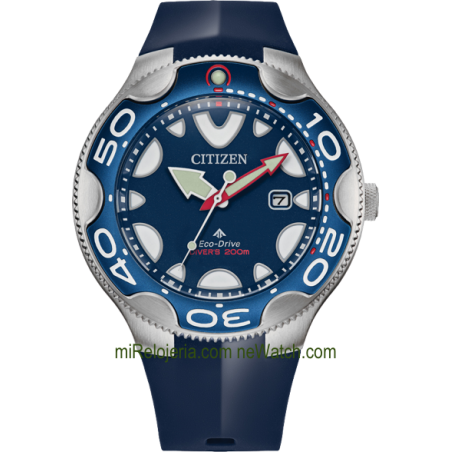 Eco-Drive Diver's 200 mt. Aqualand Orca