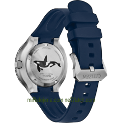 Eco-Drive Diver's 200 mt. Aqualand Orca