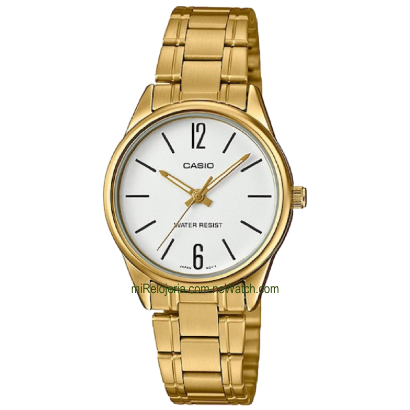 Casio Collection Analog