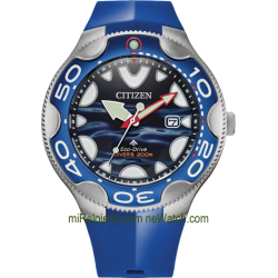 Eco-Drive Diver's 200 mt. Aqualand Orca