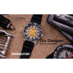 Promaster Challenge Diver