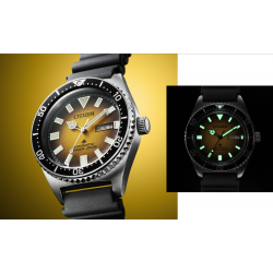 Promaster Challenge Diver