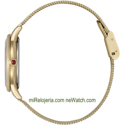 Eco-Drive Lady OF Collection