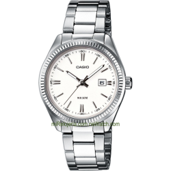 Casio Collection Analógico