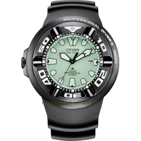 Promaster Eco-Drive Professional Diver's 300m