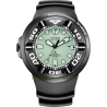 Promaster Eco-Drive Professional Diver's 300m