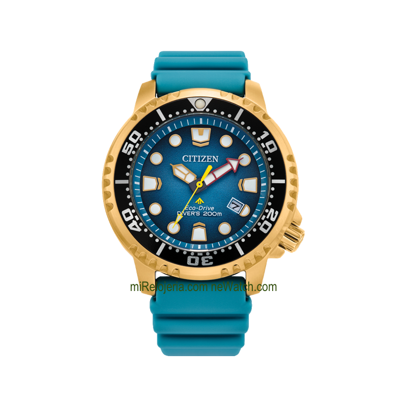 Eco-Drive Diver's 200 mt.