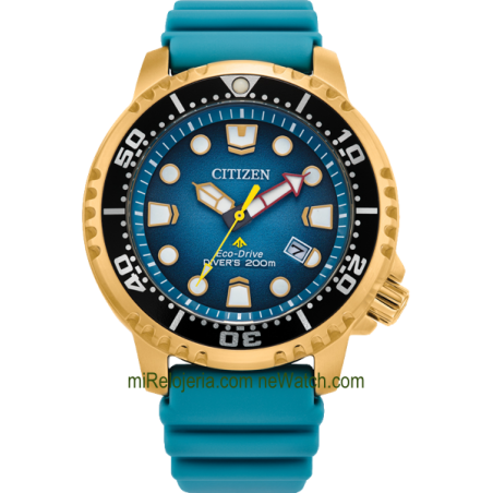 Eco-Drive Diver's 200 mt.