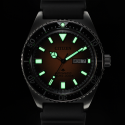 Promaster Challenge Diver