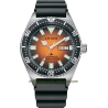 Promaster Challenge Diver