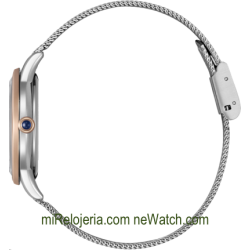 Eco-Drive Lady OF Collection