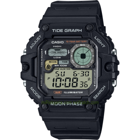 Tide Graph & Moon Phase