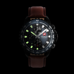 Stone Marten Chrono