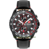 Stone Marten Chrono