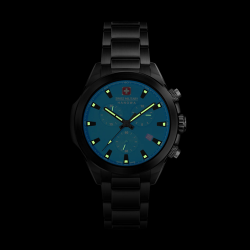 Chiroptera Night Vision