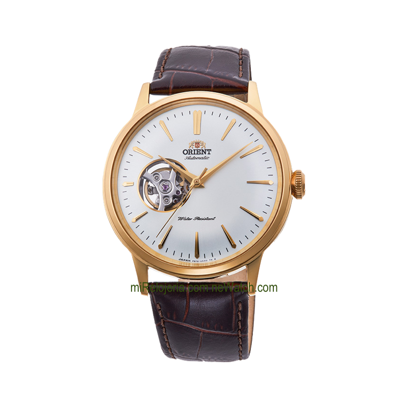 Classic Automatic Semi Skeleton