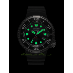 Promaster Eco-Drive 365 Professional Diver's 300m