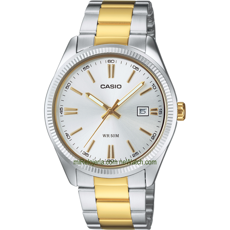 Casio Collection Analog