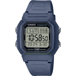 Men's Standard 10 years