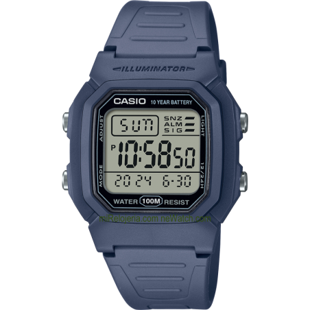 Men's Standard 10 years