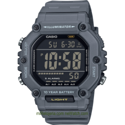 Men's Standard 10 years