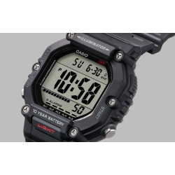 Men's Standard 10 years