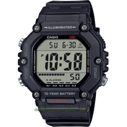 Men's Standard 10 years