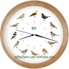 Wall Clock Birds