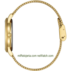 Eco-Drive Lady OF Collection