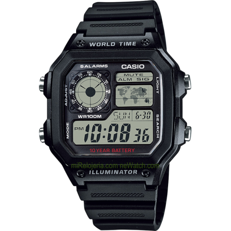 Men's Standard 10 years