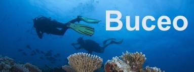 Relojes de Submarinismo y ordenadores de buceo